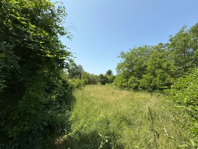 Eladó telek Budakeszi 1550 nm