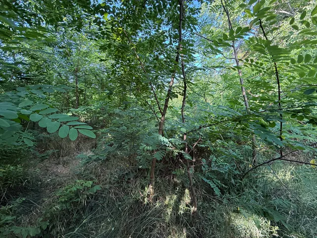 Eladó telek Felcsút, Kolozsvári 1326 nm