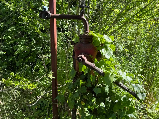 Eladó telek Bicske 3585 nm