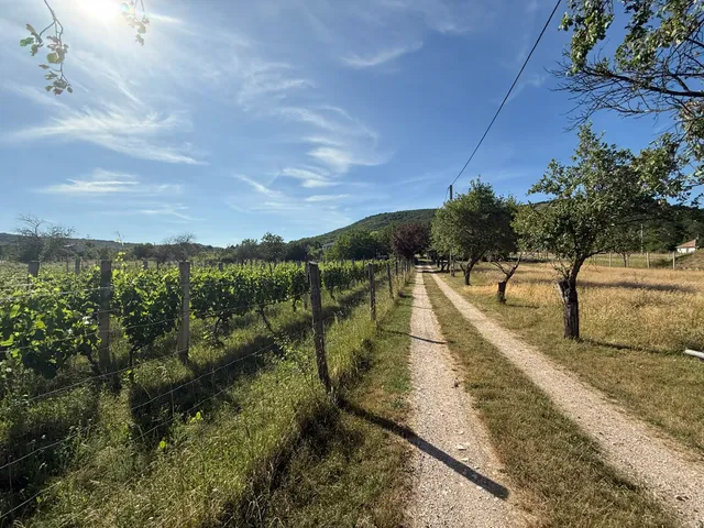 Eladó ház Csákvár, Kotlóhegy 158 nm