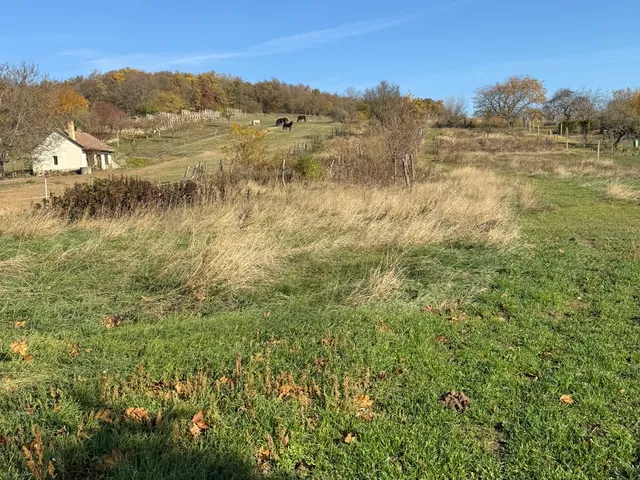Eladó telek Csákvár, Guba dűlő 2579 nm