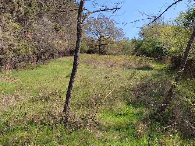 Eladó telek Sukoró 2600 nm