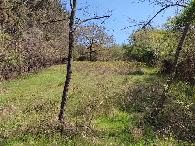 Eladó telek Sukoró 2600 nm