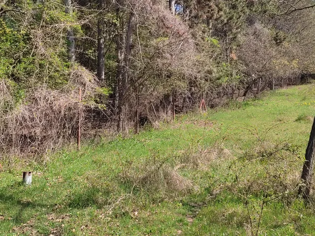 Eladó telek Sukoró 2600 nm