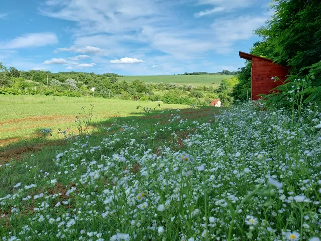 Eladó telek Lovasberény, Diós 2996 nm