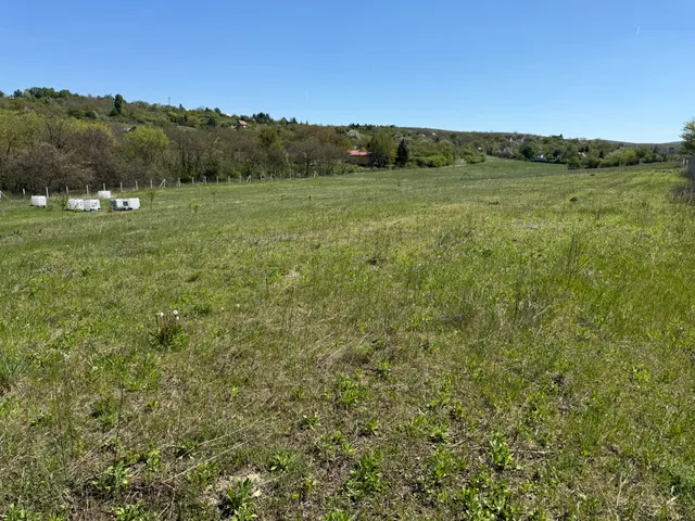Eladó telek Lovasberény, Cserti 6260 nm