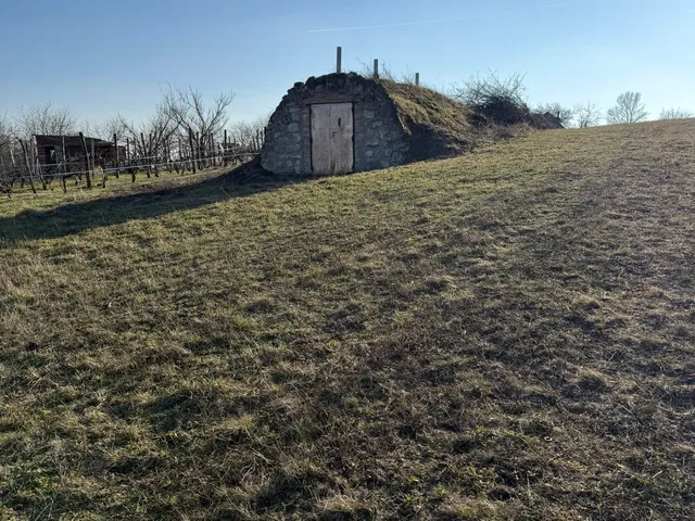 Eladó mezőgazdasági ingatlan Csákvár 12 nm