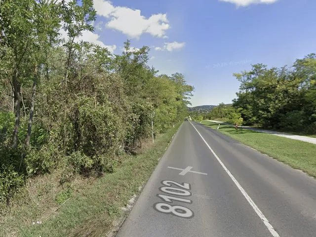 Eladó mezőgazdasági ingatlan Budakeszi 1375 nm