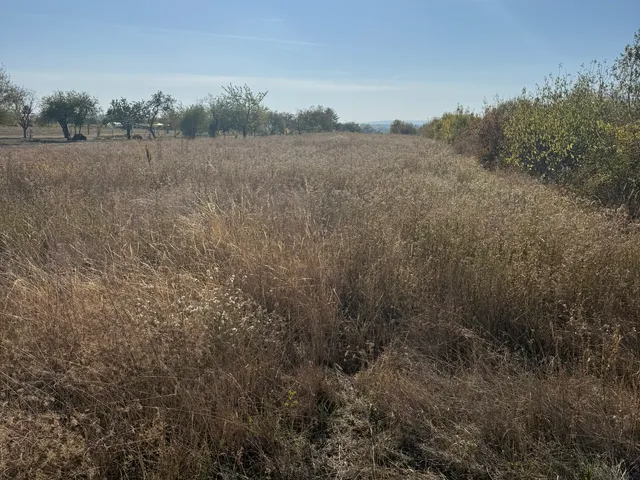 Eladó telek Bicske, Galagonyás 2597 nm