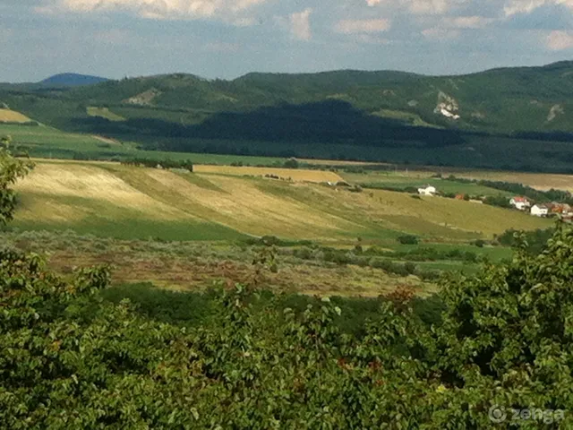 Eladó mezőgazdasági ingatlan Tök 50000 nm