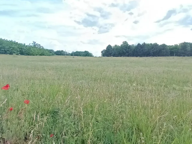 Eladó telek Kecskemét, Budaihegy 12000 nm