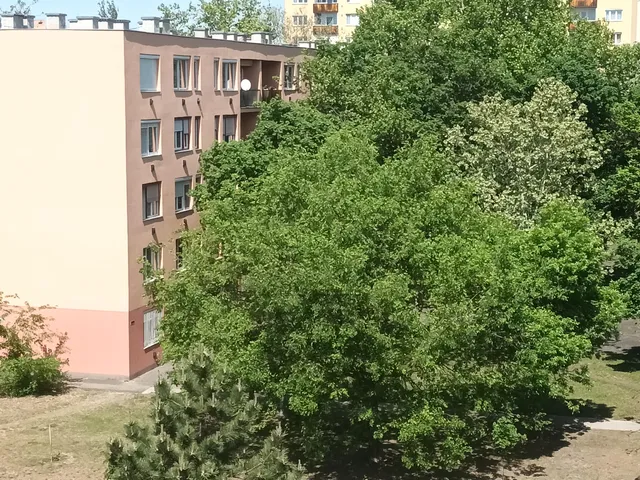 Eladó lakás Kecskemét, Széchenyiváros 57 nm