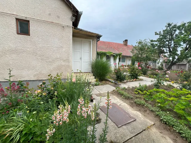 Eladó ház Dunaszekcső 170 nm