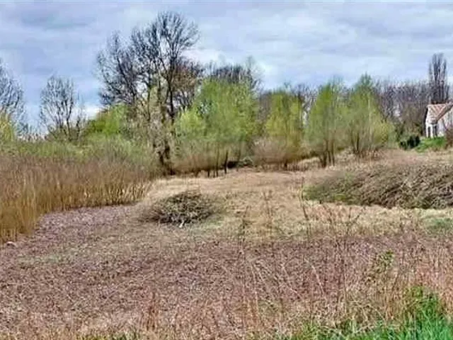 Eladó telek Bóly 3000 nm