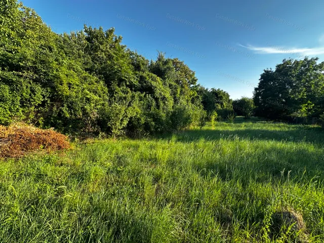 Eladó telek Balatonkenese