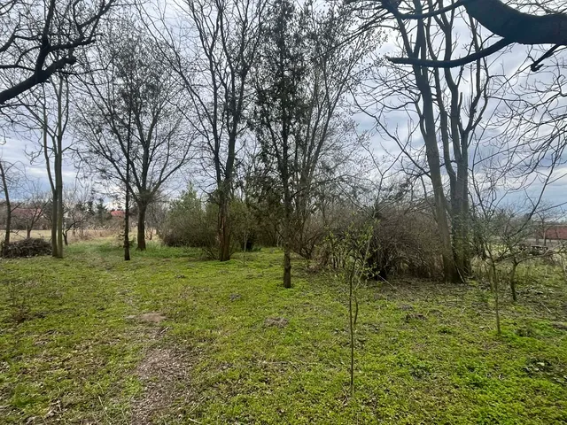 Eladó telek Debrecen, Alsójózsa 2011 nm