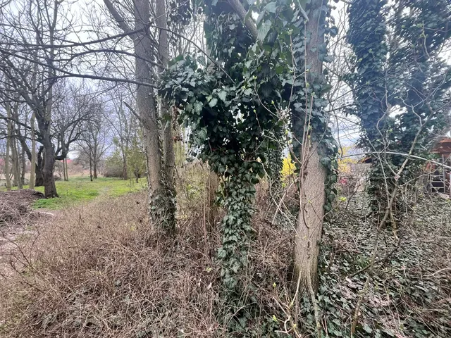 Eladó telek Debrecen, Alsójózsa 2011 nm