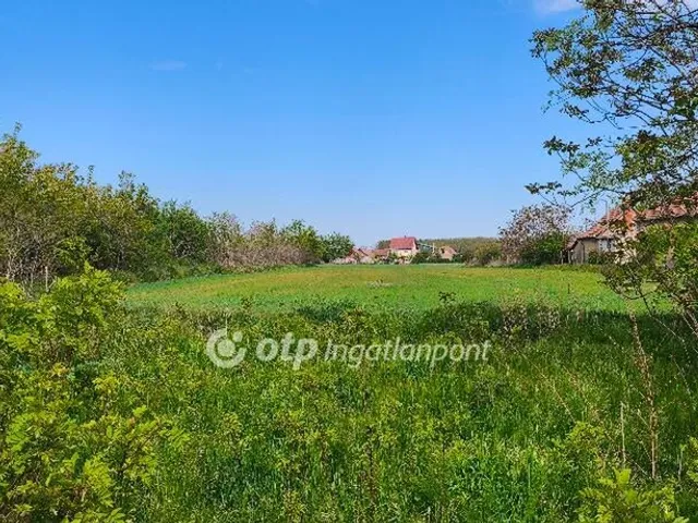Eladó telek Szalkszentmárton 9212 nm