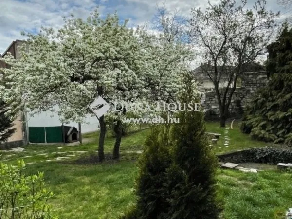Eladó ház Budapest XXII. kerület 327 nm