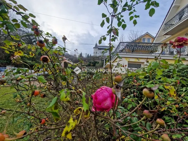 Kiadó ház Budapest XXII. kerület, Budafok-Rózsavölgy 145 nm
