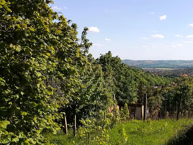 Eladó telek Pécs 885 nm