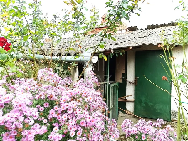 Eladó ház Sásd 229 nm