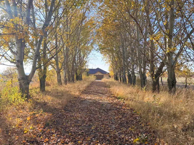 Eladó ház Alsónyék 1695 nm