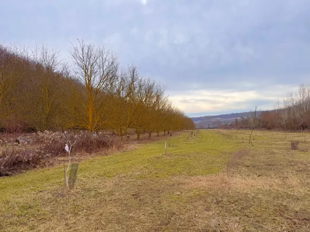 Eladó mezőgazdasági ingatlan Bátaszék 20 nm