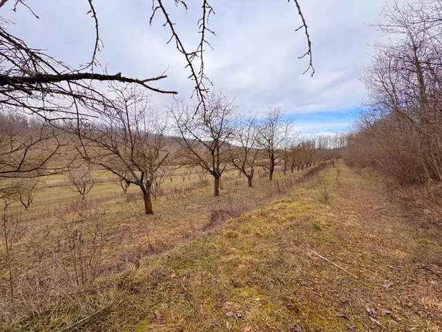 Eladó mezőgazdasági ingatlan Bátaszék 20 nm