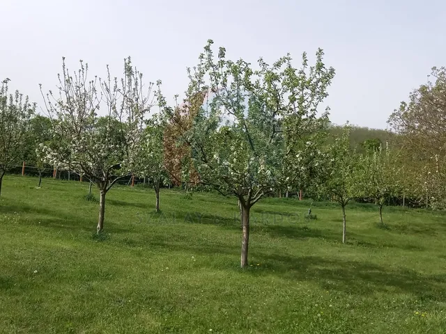 Eladó mezőgazdasági ingatlan Harka 4 nm