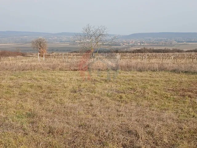 Eladó telek Sopron 3453 nm