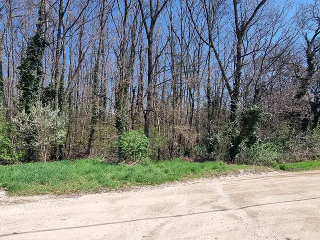 Eladó telek Érd, Fenyves-Parkváros 1100 nm