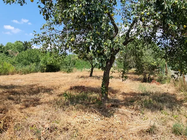 Eladó telek Diósd, Alsó- és Felsőgazdagdűlő 1496 nm