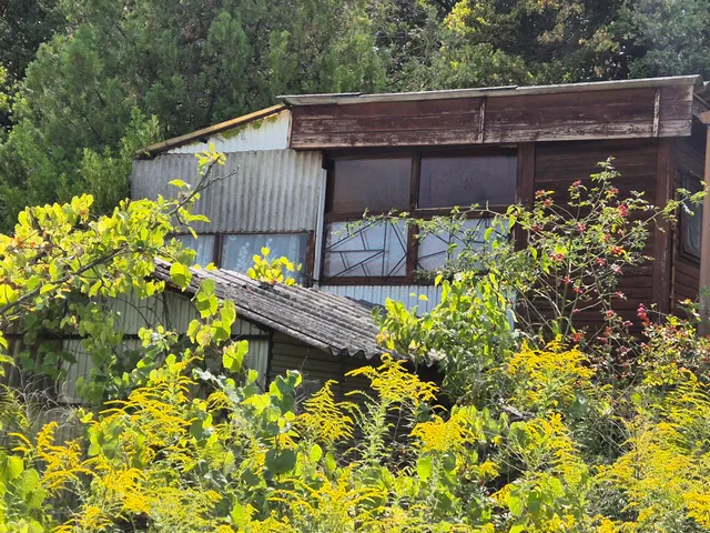 Eladó mezőgazdasági ingatlan Alcsútdoboz 24 nm
