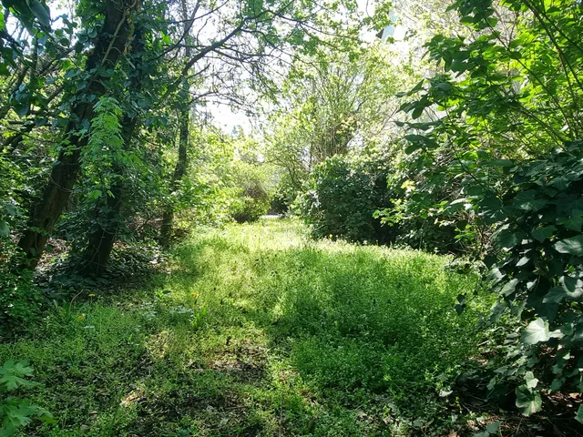 Eladó telek Érd, Érdliget 1551 nm