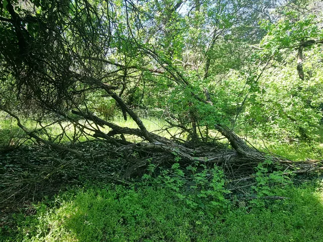 Eladó telek Érd, Érdliget 1551 nm