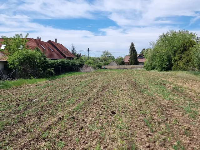 Eladó telek Érd, Tusculanum 1248 nm