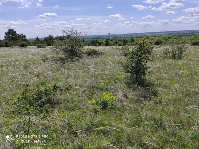 Eladó mezőgazdasági ingatlan Érd, Parkváros 6424 nm