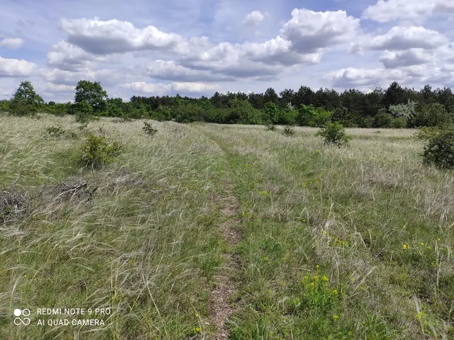 Eladó mezőgazdasági ingatlan Érd, Parkváros, M7 6424 nm