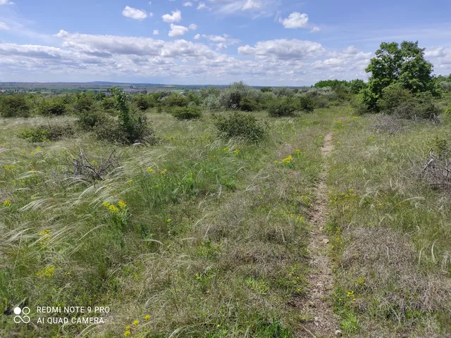 Eladó mezőgazdasági ingatlan Érd, Parkváros, M7 6424 nm
