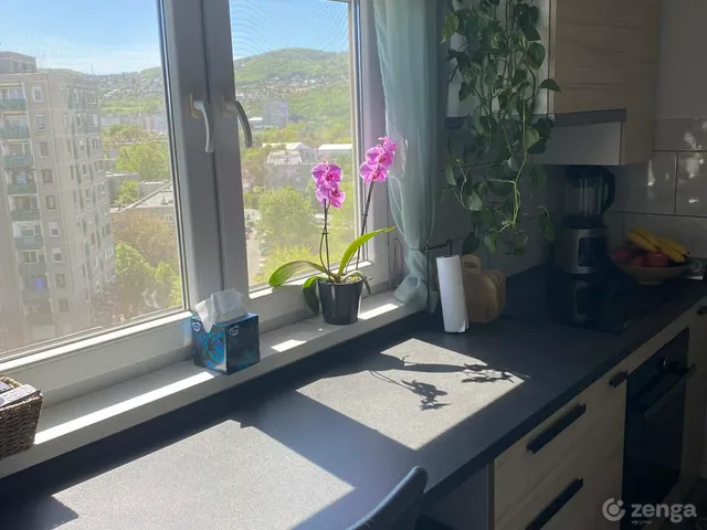 Eladó lakás Budapest III. kerület, Kaszásdűlő 51 nm