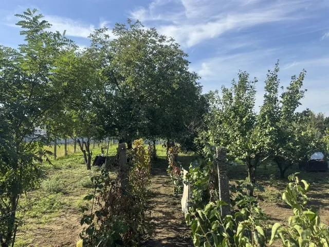 Eladó ház Heves 84 nm