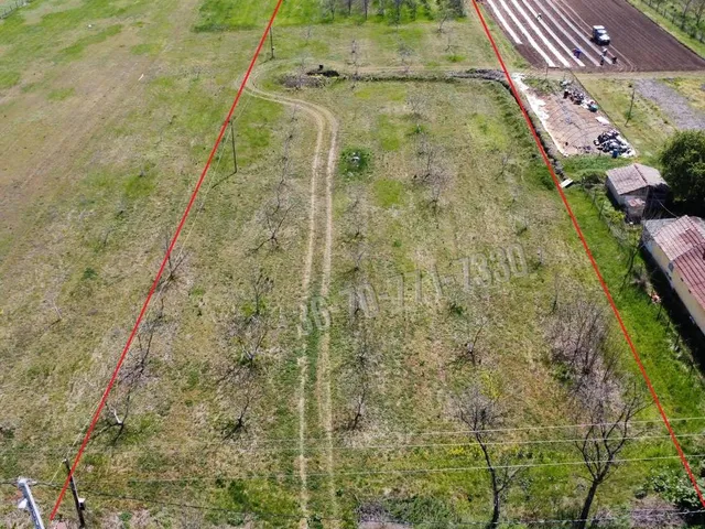 Eladó telek Heves 9819 nm