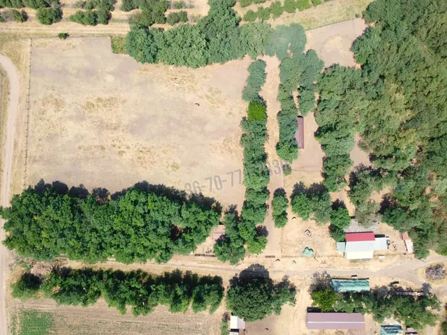 Eladó mezőgazdasági ingatlan Tenk, Arany János utca 150 nm