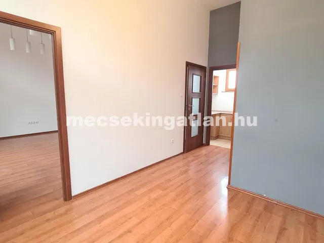 Kiadó kereskedelmi és ipari ingatlan Pécs, Siklósi városrész 51 nm
