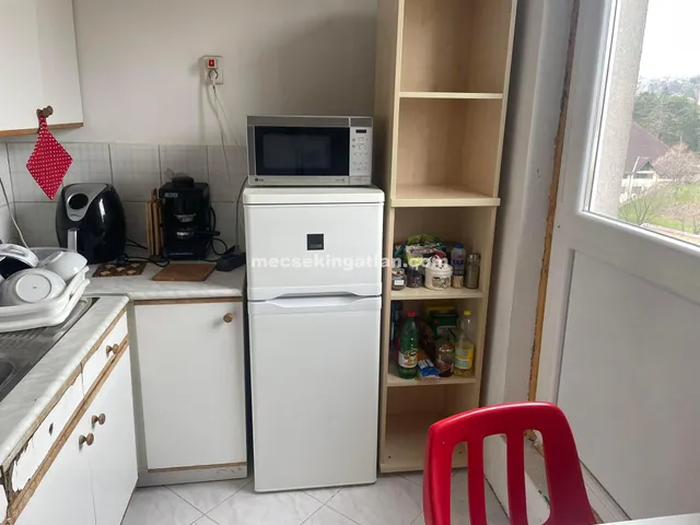 Kiadó lakás Pécs, Egyetemváros, Rókusalja 20 nm