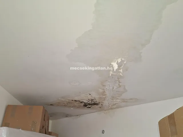 Eladó garázs Pécs, Egyetemváros 16 nm