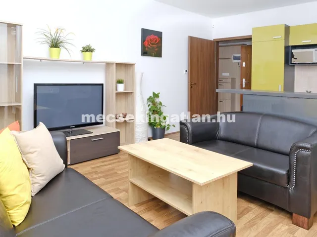 Kiadó lakás Pécs 44 nm