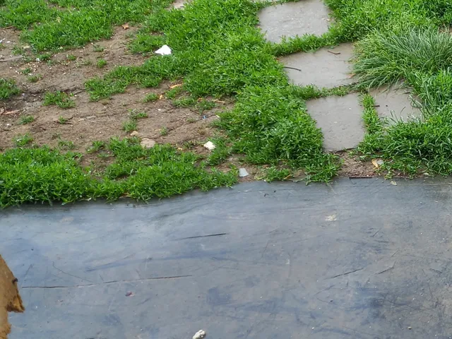 Eladó ház Dencsháza, Zrínyi utca 120 nm