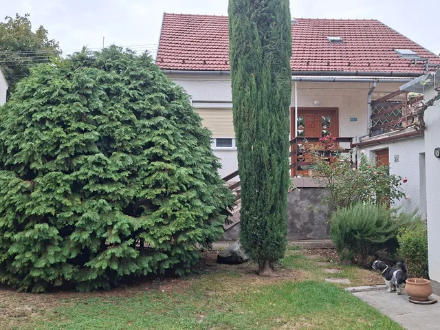 Kiadó garázs Pécs, Ispitaalja 16 nm